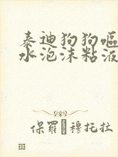 泰迪狗狗呕吐黄水泡沫粘液