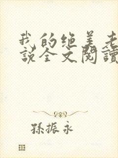 我的绝美老公小说全文阅读