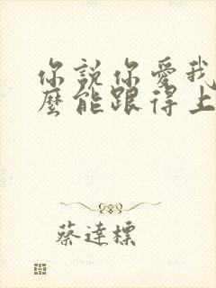 你说你爱我我怎么能跟得上你是什么歌