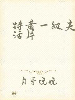 特黄一级夫妻生活片