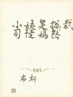 小姨是总裁叶凡司徒嫣然