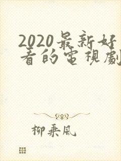 2020最新好看的电视剧排行榜前十名