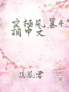 究极风暴4怎么调中文