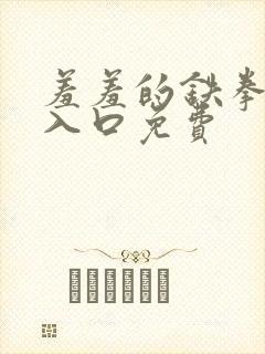 羞羞的铁拳漫画入口免费