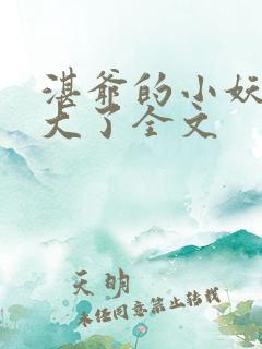 湛爷的小妖精长大了全文