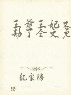 王爷王妃又去打劫了全文免费阅读