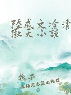 陆成文冷清秋龙傲天小说