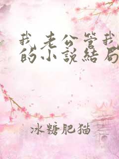 我老公管我超严的小说结局