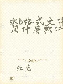 skb格式文件用什么软件打开