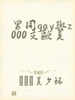 男同gay与z000交欧美