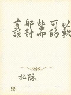 有哪些可以做小说封面的软件