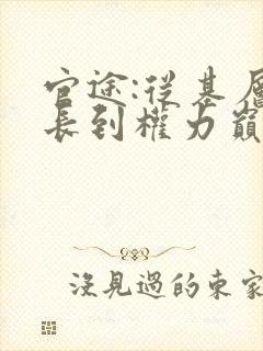 官途:从基层科长到权力巅峰