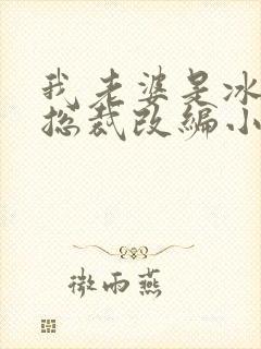 我老婆是冰山女总裁改编小说