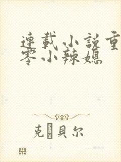 连载小说重生七零小辣媳