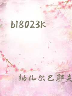 bl8023k