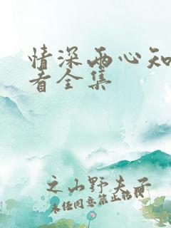 情深两心知免费看全集