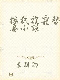 总裁误宠替身甜妻小说