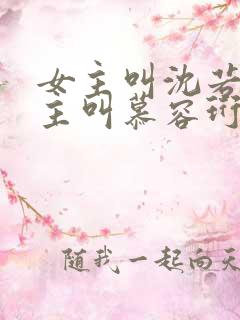 女主叫沈若惜男主叫慕容珩小说