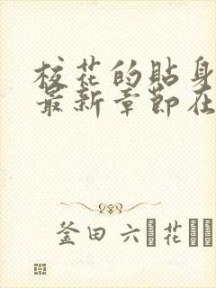 校花的贴身高手最新章节在线