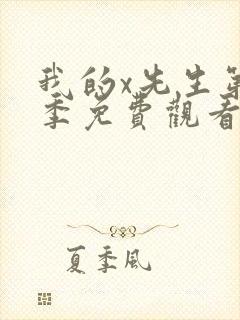 我的x先生第一季免费观看