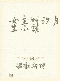 女主叫汐月的重生小说