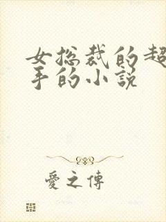 女总裁的超级高手的小说