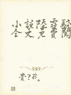 小说陆霆骁宁夕全文免费阅读