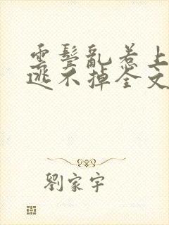 云鬓乱惹上权臣逃不掉全文版