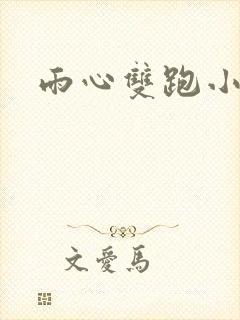 雨心双跑小说