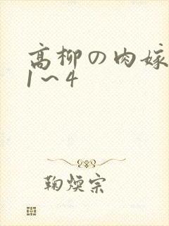 高柳の肉嫁动漫1~4