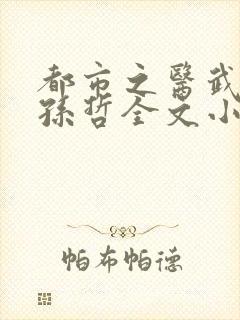 都市之医武风流孙哲全文小说