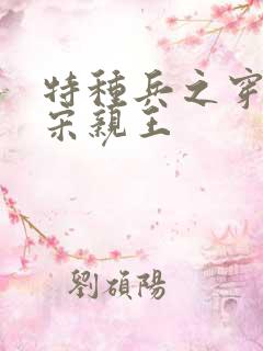 特种兵之穿越大宋亲王