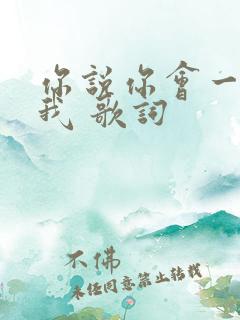 你说你会一直爱我 歌词