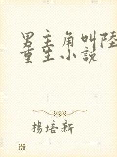 男主角叫陆天的重生小说