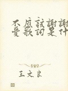 不应该谢谢你的爱歌词是什么歌