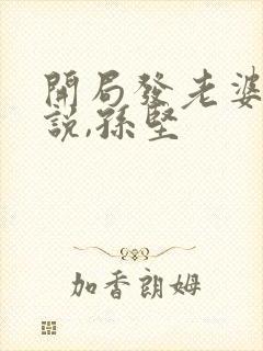 开局发老婆的小说,孙坚