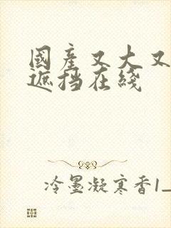 国产又大又黄无遮挡在线