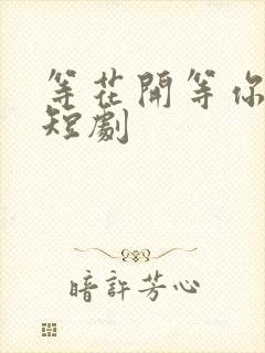 等花开等你归 短剧