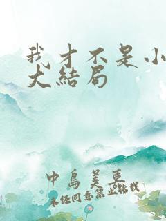 我才不是小可怜大结局