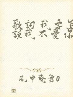 歌词 我要怎么说我不爱你