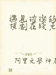 遇见璀璨的你电视剧在线免费观看