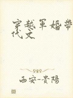 穿越军婚带崽年代文