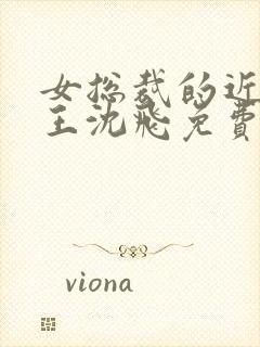 女总裁的近身兵王沈飞免费阅读