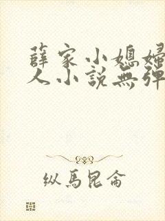 薛家小媳妇笑佳人小说无弹窗