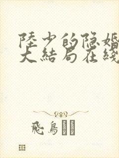 陆少的隐婚罪妻大结局在线阅读
