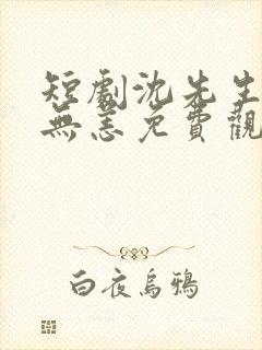 短剧沈先生别来无恙免费观看