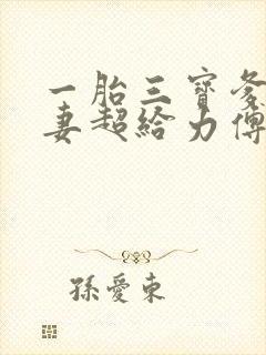 一胎三宝爹地宠妻超给力傅