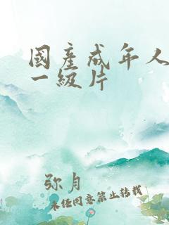 国产成年人免费一级片