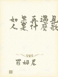 如果再遇见爱的人是什么歌