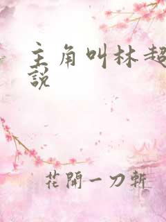 主角叫林超的小说